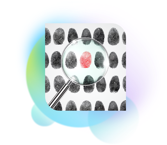 Government Licensing Services